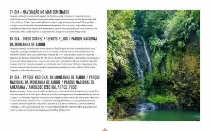 Folheto Solférias Página 82