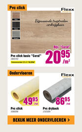 Hornbach folder Pagina 11