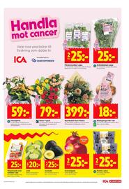 ICA Kvantum reklamblad vecka 42 Sida 7