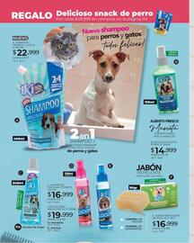 Catálogo Dolce Catálogos Página 114