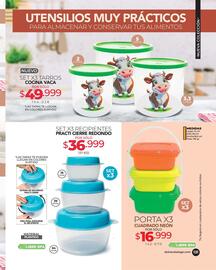 Catálogo Dolce Catálogos Página 131