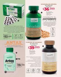 Catálogo Dolce Catálogos Página 132
