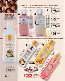 Catálogo Dolce Catálogos Página 138