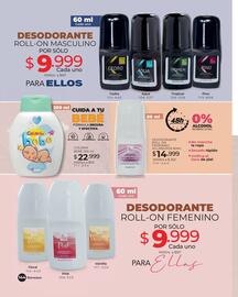 Catálogo Dolce Catálogos Página 144