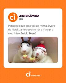 Catálogo CI semana 42 Página 3