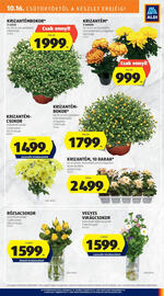ALDI akciós újság hét 42 Oldal 27
