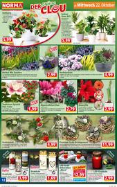 Norma Prospekt woche 43 Seite 12
