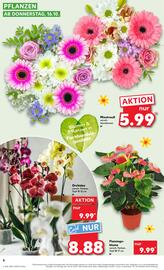 Kaufland Prospekt woche 42 Seite 6