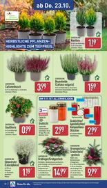 Aldi Nord Prospekt woche 43 Seite 30