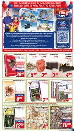 CENTERSHOP Prospekt woche 43 Seite 5