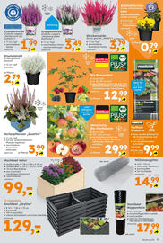 Globus Baumarkt Prospekt Seite 11