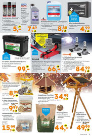 Globus Baumarkt Prospekt Seite 9