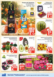 Marktkauf Prospekt Seite 4