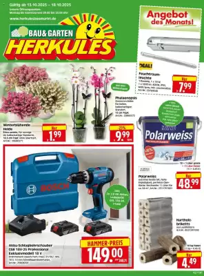Edeka Herkules Prospekt (gültig bis 18-10)