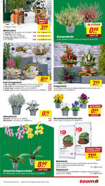 Toom Baumarkt Prospekt woche 42 Seite 3
