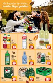 REWE Center Prospekt woche 42 Seite 17