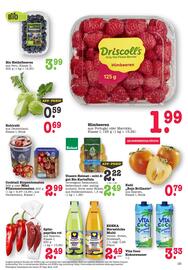 Scheck-in-Center Prospekt woche 42 Seite 13