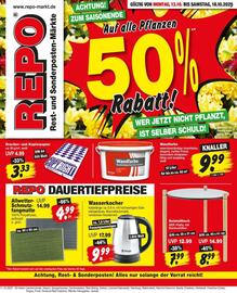 Repo Markt Prospekt woche 42 Seite 1