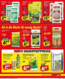 Repo Markt Prospekt woche 42 Seite 3