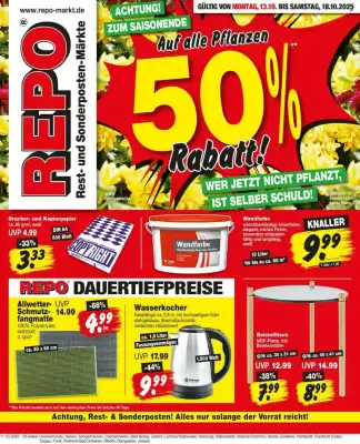 Repo Markt Prospekt (gültig bis 18-10)