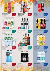 Dornseifer Prospekt woche 42 Seite 15