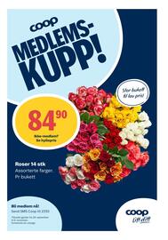 Matkroken kundeavis uke 42 Side 6