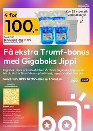 Gigaboks kundeavis uke 42 Side 8