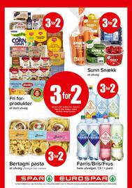 Spar kundeavis Side 13