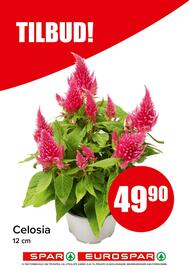 Spar kundeavis Side 16