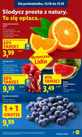 Lidl gazetka Strona 19