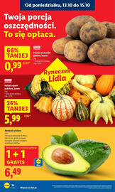 Lidl gazetka Strona 20