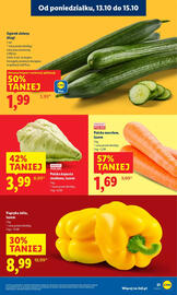 Lidl gazetka Strona 21