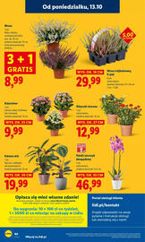 Lidl gazetka Strona 64