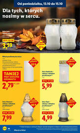 Lidl gazetka Strona 66
