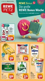 REWE PETZ Prospekt woche 42 Seite 1