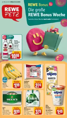 REWE PETZ Prospekt (gültig bis 18-10)