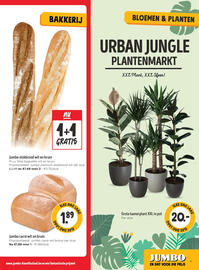 Jumbo folder week 42 Pagina 5