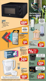 REWE Prospekt woche 42 Seite 29