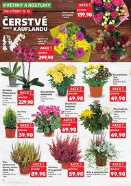 Kaufland leták týden 42 Strana 12