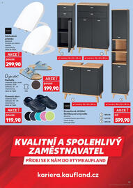 Kaufland leták týden 42 Strana 51