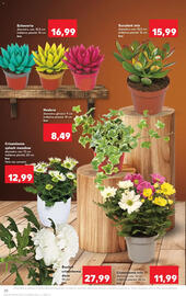Catalog Kaufland săptămâna 42 Pagină 20