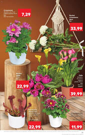 Catalog Kaufland săptămâna 42 Pagină 21