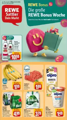 REWE Prospekt (gültig bis 19-10)