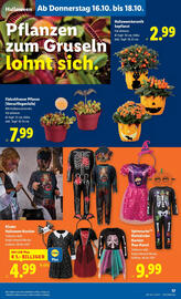 Lidl Flugblatt woche 42 Seite 23