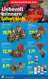 Lidl Flugblatt woche 42 Seite 37