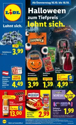 Lidl Flugblatt (gültig bis 22-10)