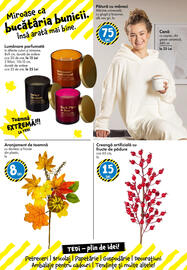 Catalog TEDI săptămâna 42 Pagină 24