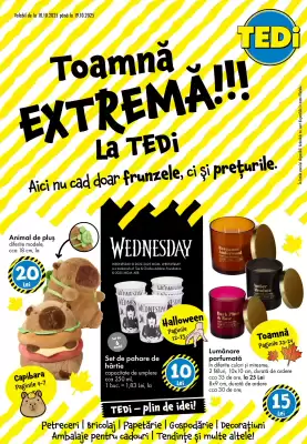 Catalog TEDI (valid până la 19-10)