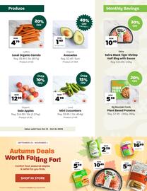 Blush Lane Organics flyer Page 2