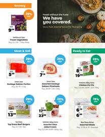 Blush Lane Organics flyer Page 4